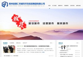 仲巴城市开发投资集团有限公司