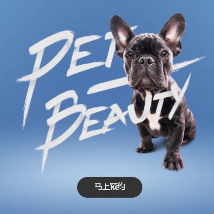 仲巴宠物中心小程序开发