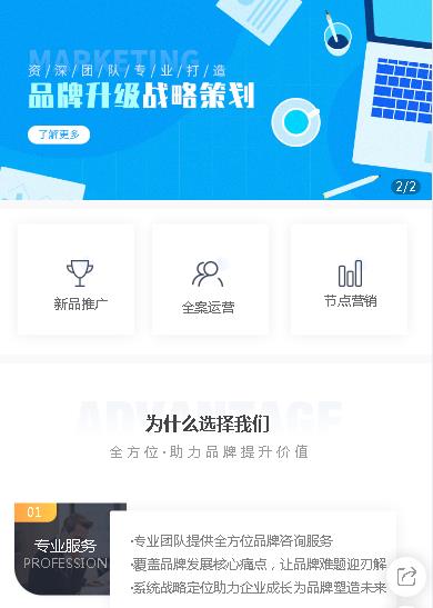 仲巴咨询策划小程序开发